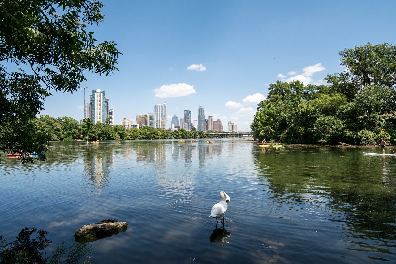 austin, texas, lake-1402097.jpg